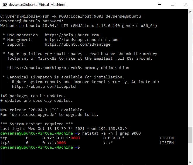 SSH tunnel established