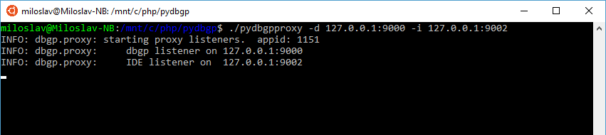 Starting DBGp proxy